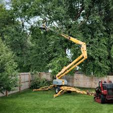 Why Choose Our Tree Removal Services in Milford, DE?